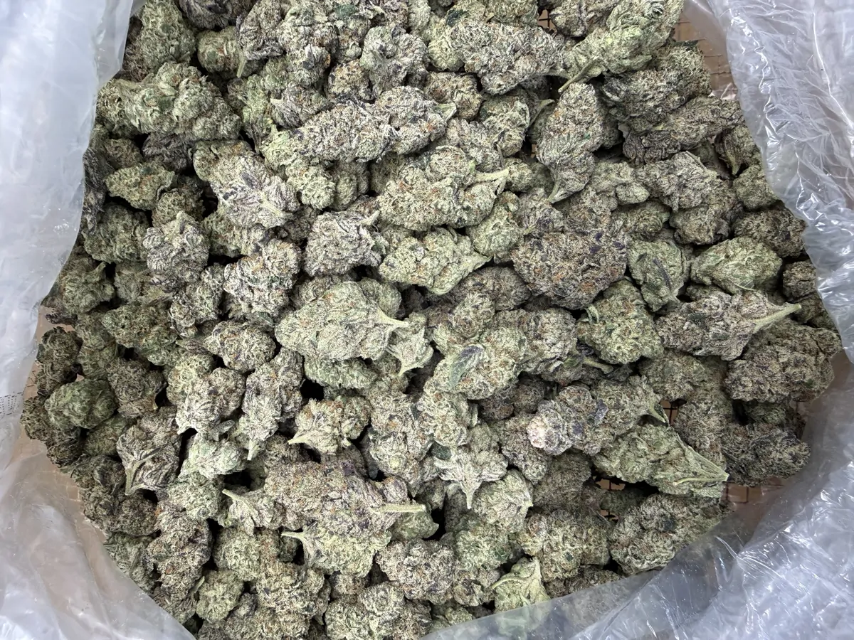 Electric Shock Flower